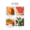 NEST New York Seville Orange Perfume Oil (Rollerball) – 6 mL – Vegan & Cruelty Free(Seville Orange)