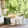 NEST New York Smart Home Fragrance Diffuser Refill Smart Vials, Coconut & Palm – Set of 2 – Designed for NEST x Pura 3 and NEST x Pura 4 Diffusers – Cruelty Free, Vegan – Made in USA