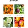 NEST New York Smart Home Fragrance Diffuser Refill Smart Vials, Grapefruit – Set of 2 – Designed for NEST x Pura 3 and NEST x Pura 4 Diffusers – Cruelty Free, Vegan – Made in USA(Sicilian Tangerine)