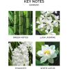 NEST New York Smart Home Fragrance Diffuser Refill Smart Vials, Grapefruit – Set of 2 – Designed for NEST x Pura 3 and NEST x Pura 4 Diffusers – Cruelty Free, Vegan – Made in USA(Bamboo)