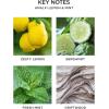 NEST New York Smart Home Fragrance Diffuser Refill Smart Vials, Grapefruit – Set of 2 – Designed for NEST x Pura 3 and NEST x Pura 4 Diffusers – Cruelty Free, Vegan – Made in USA(Amalfi Lemon & Mint)