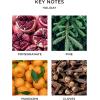 NEST New York Smart Home Fragrance Diffuser Refill Smart Vials, Holiday – Set of 2 – Designed for NEST x Pura 3 and NEST x Pura 4 Diffusers – Cruelty Free, Vegan – Made in USA(Holiday)