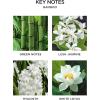 NEST New York Wall Diffuser Refill Vials, Bamboo – Set of 2 – Up to 60 Days of Continuous Scent – Cruelty Free, Vegan – Made in USA(Bamboo)