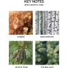 NEST New York Wall Diffuser Refill Vials, Birchwood Pine – Set of 2 – Up to 60 Days of Continuous Scent – Cruelty Free, Vegan – Made in USA(Birchwood Pine)