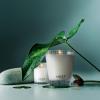 Nest New York Scented Votive Candle, Forest Rain – 2 oz – Up to 28-Hour Burn Time – Reusable Glass Vessel(Forest Rain)