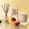 Nest New York Scented Votive Candle, Forest Rain – 2 oz – Up to 28-Hour Burn Time – Reusable Glass Vessel(Grapefruit)