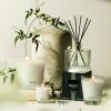 Nest New York Scented Votive Candle, Forest Rain – 2 oz – Up to 28-Hour Burn Time – Reusable Glass Vessel(Indian Jasmine)