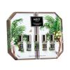 NEST New York Perfume Oil Discovery Set – Includes Balinese Coconut, Turkish Rose, Seville Orange, Indian Jasmine & Madagascar Vanilla – Vegan & Cruelty Free