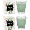 NEST New York Scented Classic Candle Duo, Himalayan Salt & Rosewater – 8.1 oz, Pack of 2 – Up to 60-Hour Burn Time Each – Reusable Glass Vessel(Wild Mint & Eucalyptus)