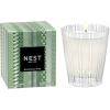 NEST New York Scented Classic Candle, Holiday – 8.1 oz – Up to 60-Hour Burn Time – Reusable Glass Vessel(Birchwood Pine)