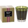 NEST New York Scented Classic Candle, Pumpkin Chai – 8.1 oz – Up to 60-Hour Burn Time – Reusable Glass Vessel(Pistachio & Wild Fig)