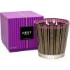 NEST New York Scented Luxury 4-Wick Candle, Autumn Plum – 43.7 oz – Up to 120-Hour Burn Time – Reusable Glass Vessel(Autumn Plum)