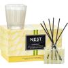 NEST New York Scented Petite Candle (4.5 oz) & Diffuser (1.3 fl oz) Set, Himalayan Salt & Rosewater – Reusable Glass Vessel – Vegan, Cruelty Free(Grapefruit)