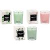 NEST New York Scented Votive Candle Wellness Bundle – Includes Cucumber & White Sage, Himalayan Salt & Rosewater, and Wild Mint & Eucalyptus – 2 oz Each(Wild Mint & Eucalyptus)