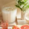 NEST New York Scented Luxury 4-Wick Candle, Grapefruit – 43.7 oz – Up to 120-Hour Burn Time – Reusable Glass Vessel(Grapefruit)