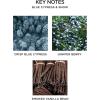 NEST New York Lime Zest & Matcha Smart Home Fragrance Diffuser Refill, Set of 2(Blue Cypress & Snow)