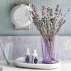 NEST New York Lime Zest & Matcha Smart Home Fragrance Diffuser Refill, Set of 2(Cedar Leaf & Lavender)