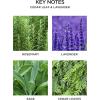 NEST New York Lime Zest & Matcha Smart Home Fragrance Diffuser Refill, Set of 2(Cedar Leaf & Lavender)