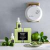 NEST New York Lime Zest & Matcha Smart Home Fragrance Diffuser Refill, Set of 2(Lime Zest & Matcha)
