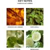 NEST New York Lime Zest & Matcha Smart Home Fragrance Diffuser Refill, Set of 2(Moroccan Amber)