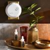 NEST New York Lime Zest & Matcha Smart Home Fragrance Diffuser Refill, Set of 2(Moroccan Amber)