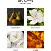 NEST New York Lime Zest & Matcha Smart Home Fragrance Diffuser Refill, Set of 2(Velvet Pear)