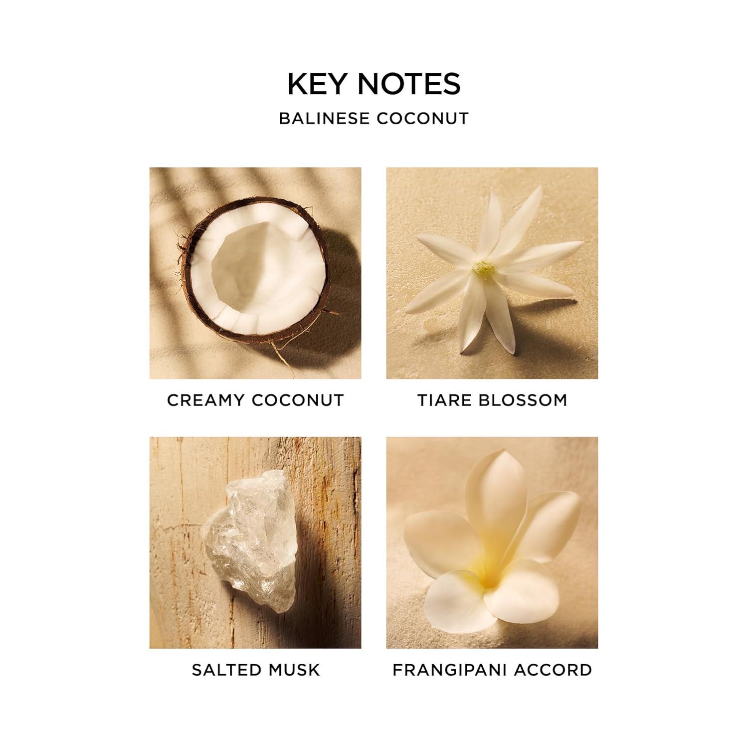 image:imageNEST New York Perfume Oil Discovery Set Includes Balinese Coconut Turkish Rose Seville Orange Indian Jasmine amp Madagascar Vanilla Rollerballs Vegan amp Cruelty Free