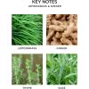 NEST New York Reed Diffuser, Lemongrass & Ginger – 5.9 fl oz – Fragrance for Up to 90 Days – Reusable, Refillable Glass Holder – Includes 8 All-Natural Reed Sticks – Flame Free